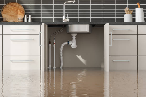 Professional Water damage restoration in Ravenel, SC