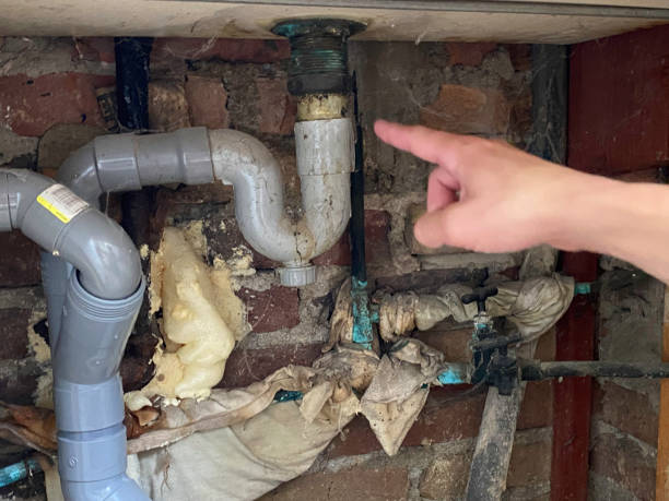 Best Residential water damage restoration  in Ravenel, SC