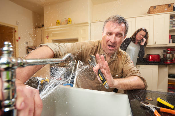Best Local water damage restoration  in Ravenel, SC